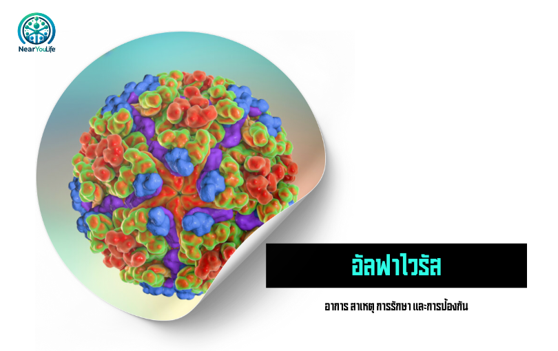 อัลฟาไวรัส: สาเหตุ อาการ การรักษา และการป้องกัน